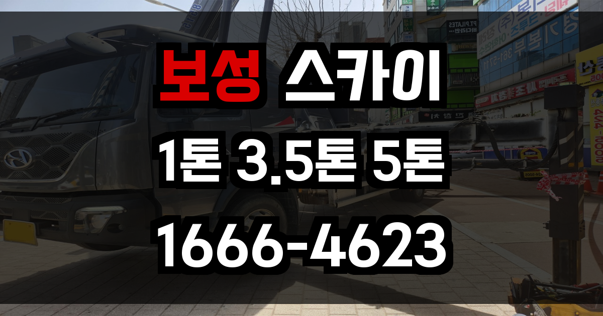 보성 스카이차