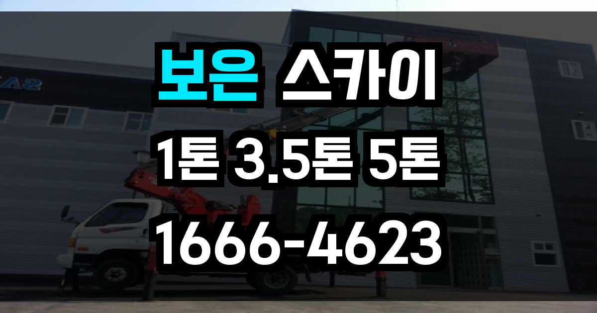 보은 스카이차