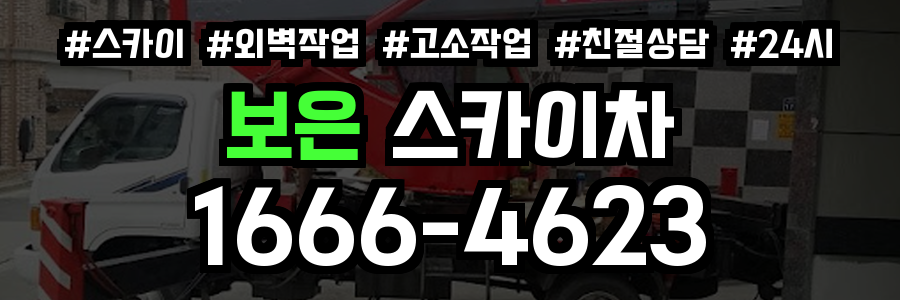보은 스카이차