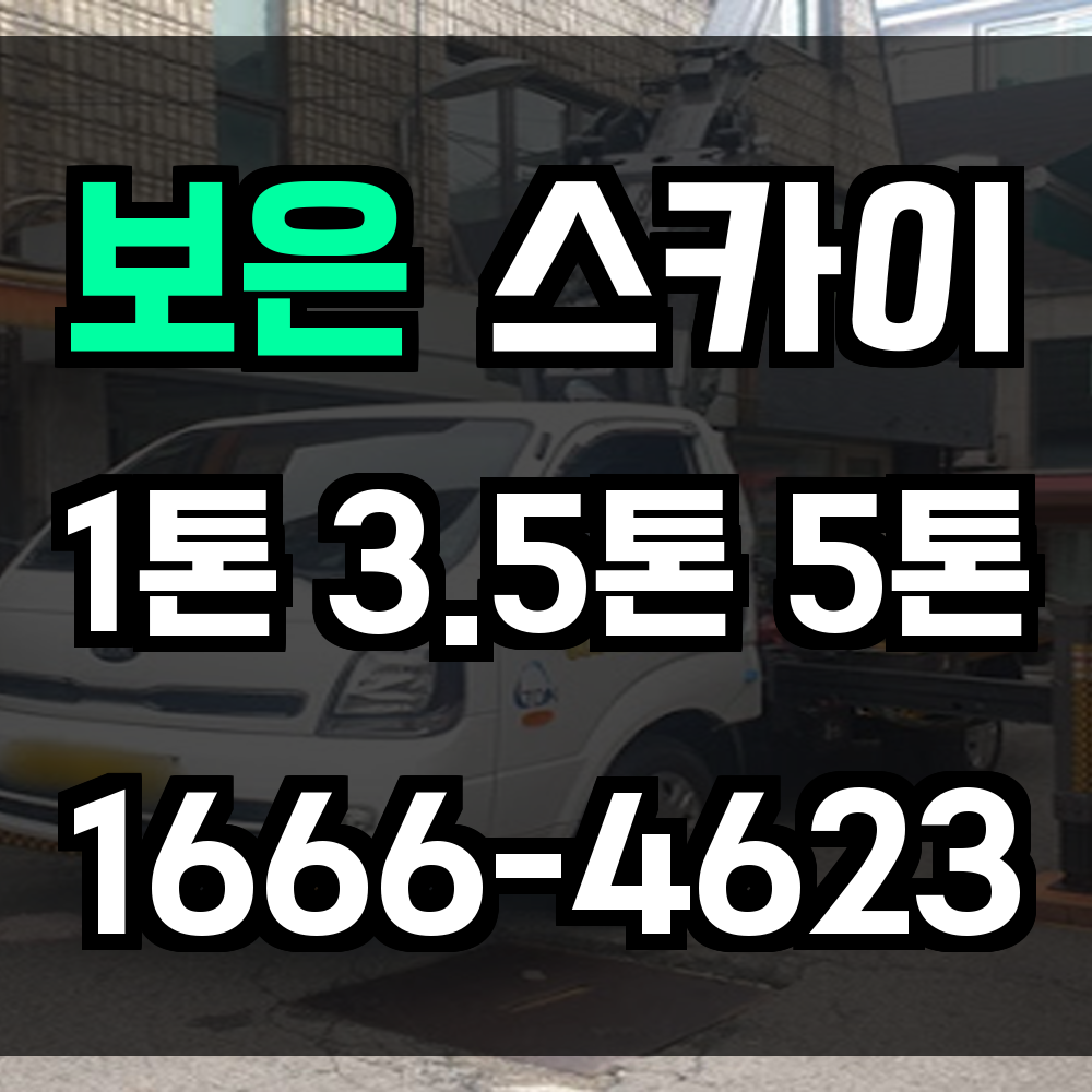 보은 스카이차