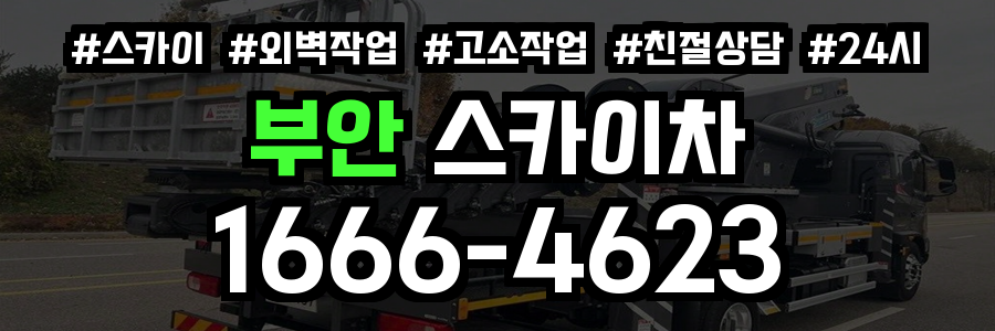 부안 스카이차