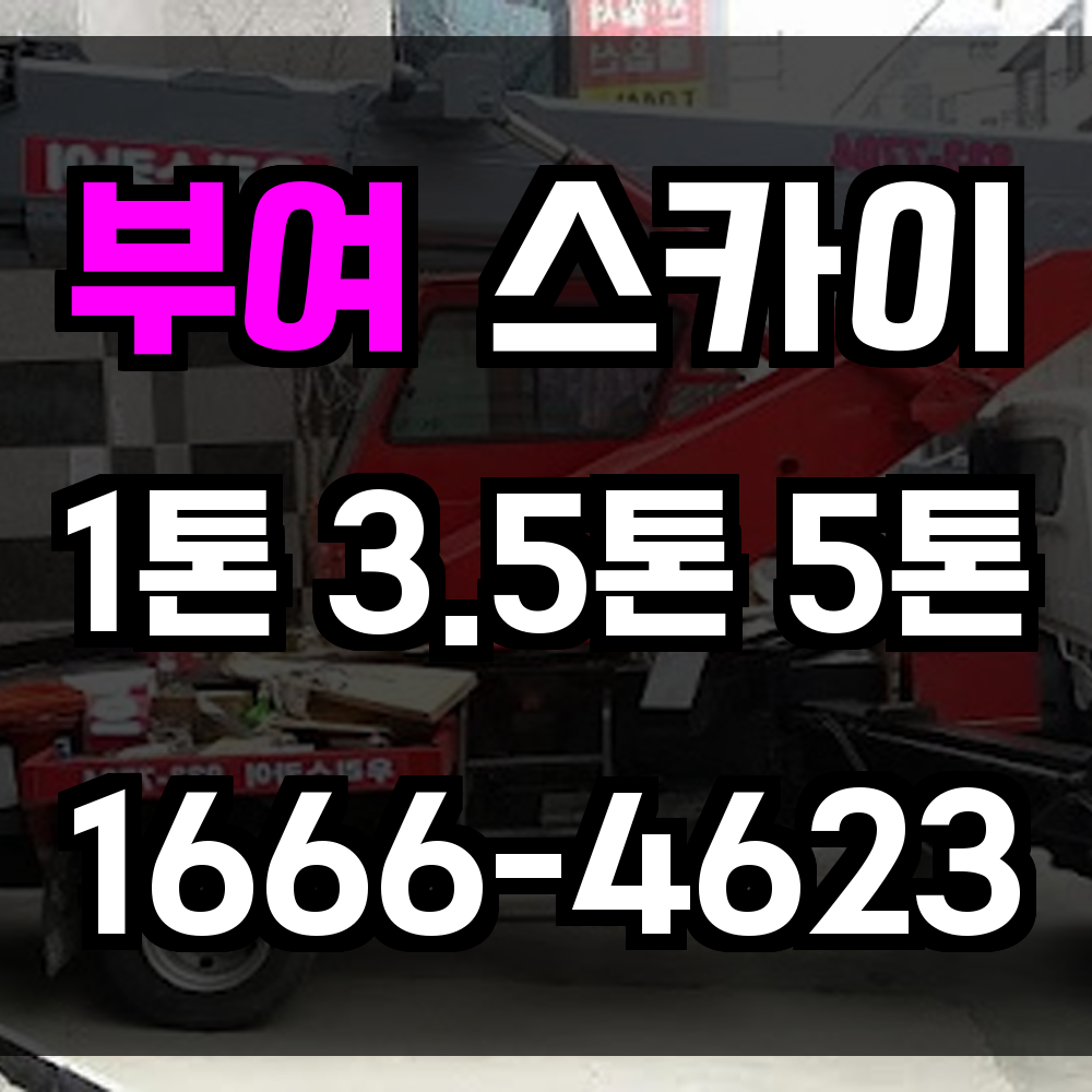 부여 스카이차