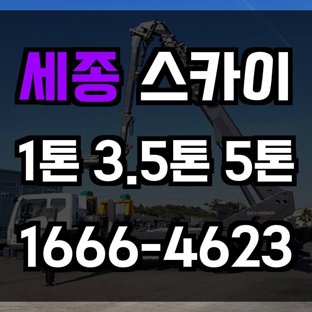 세종 스카이차