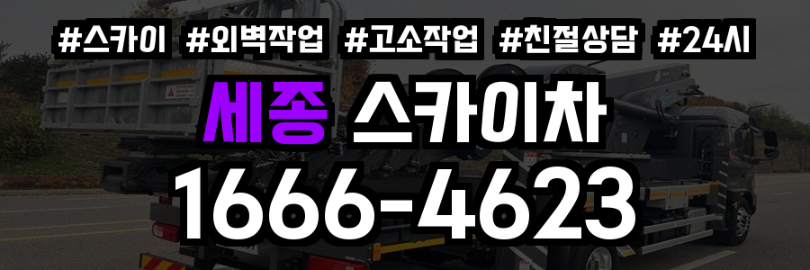 세종 스카이차