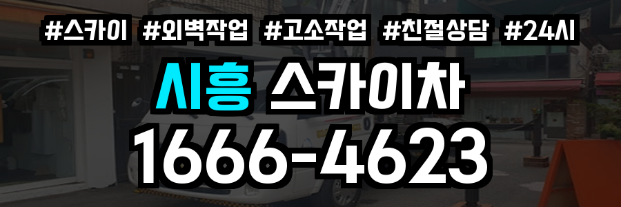 시흥 스카이차