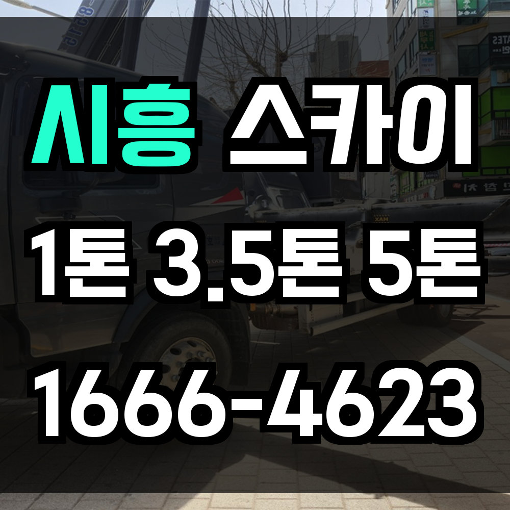 시흥 스카이차