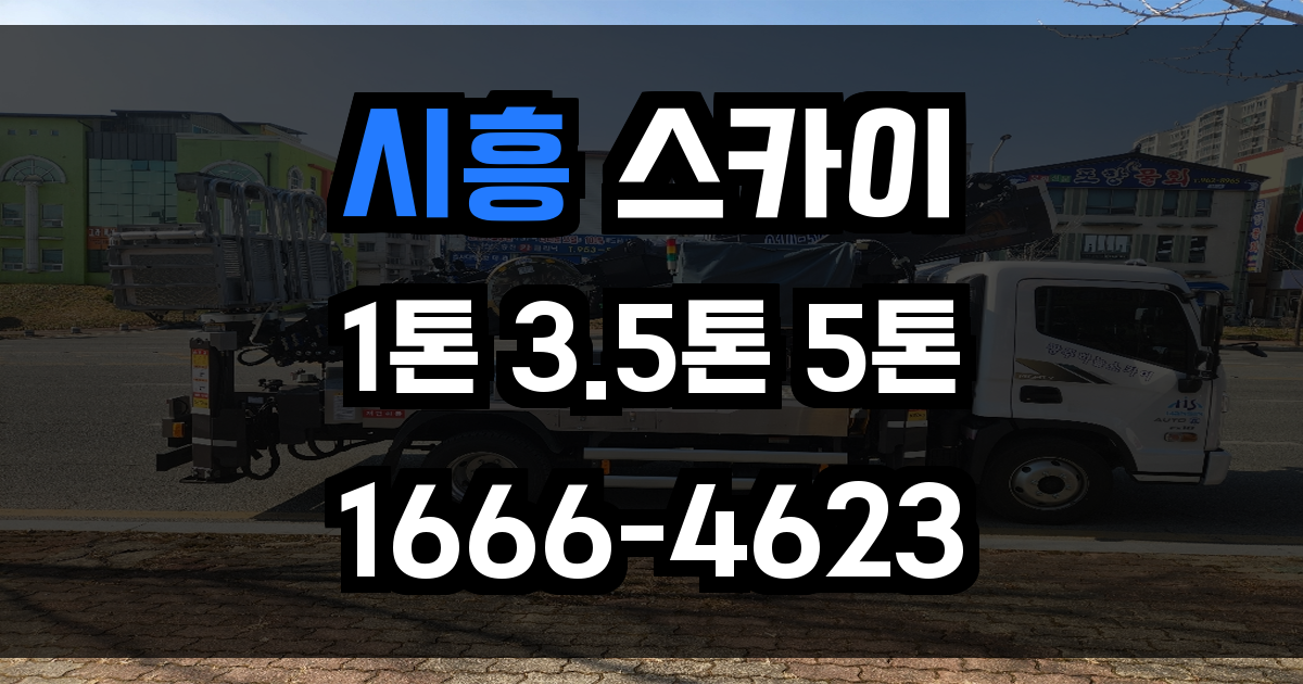 시흥 스카이차