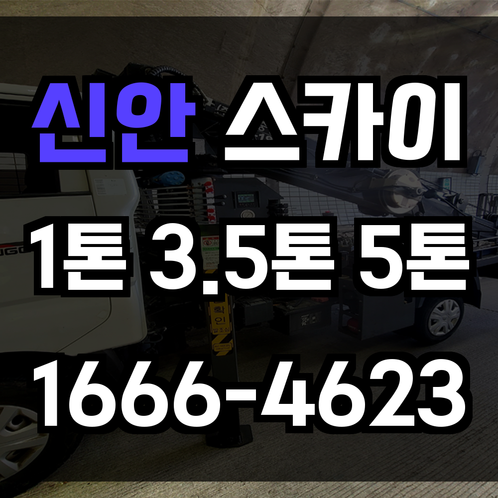 신안 스카이차