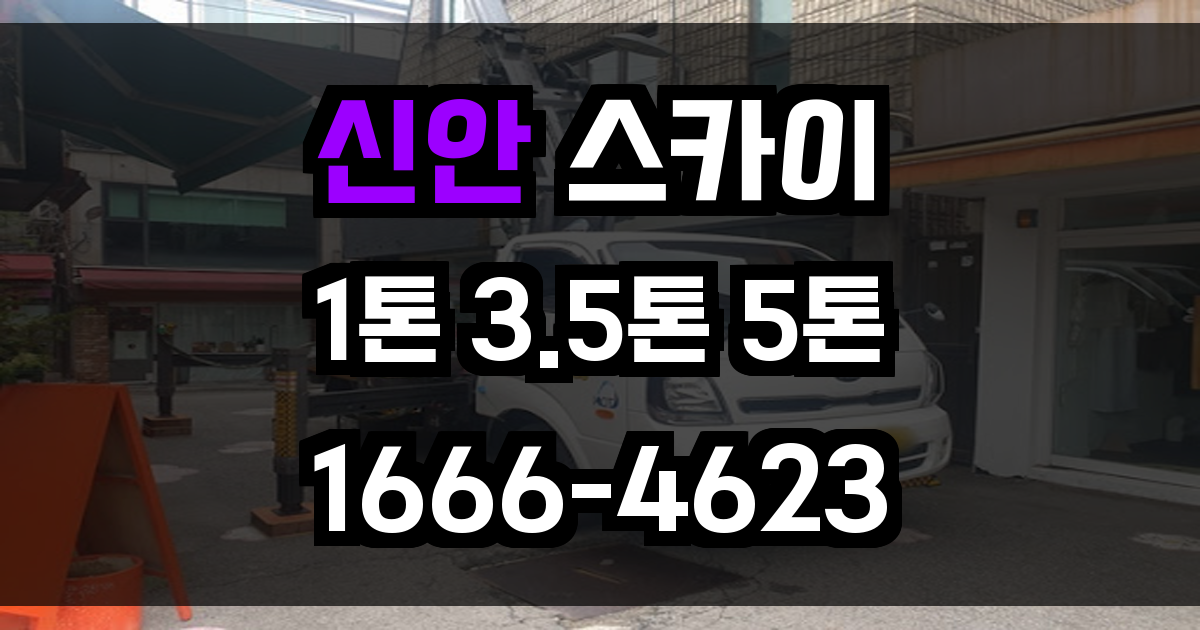 신안 스카이차