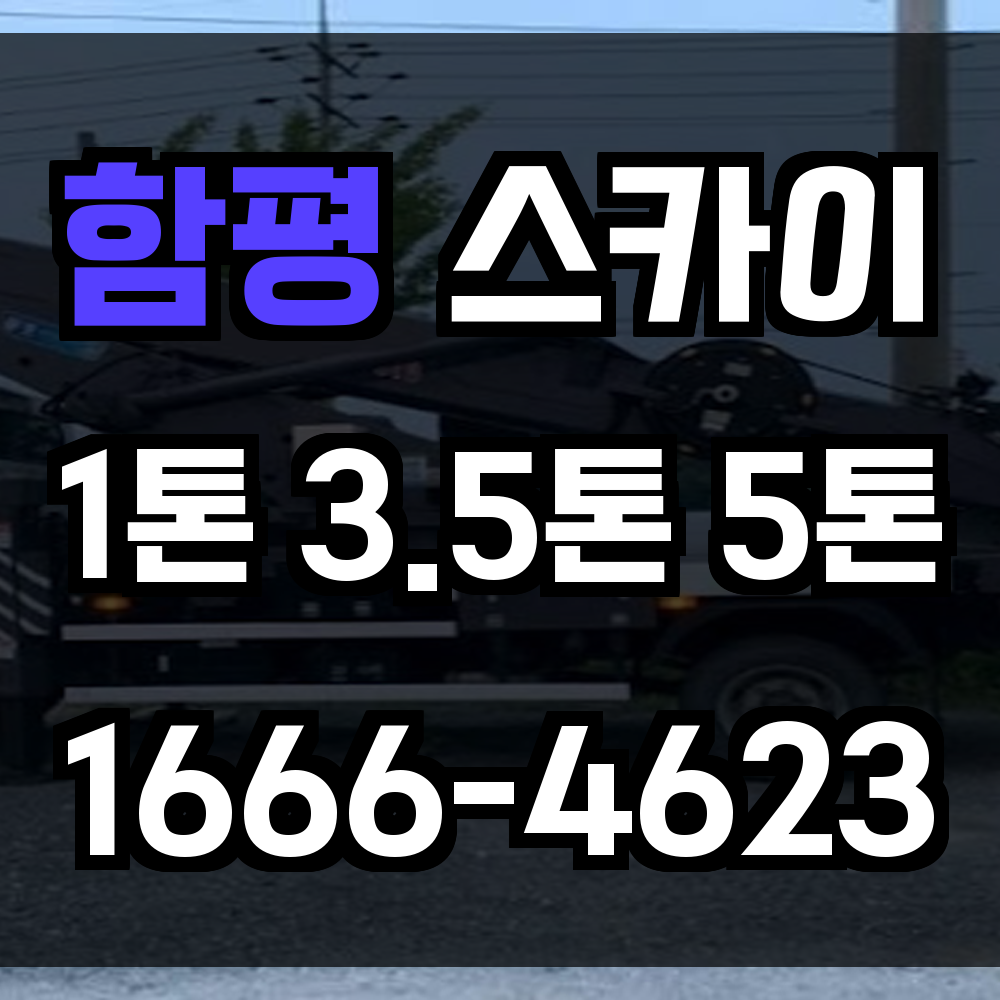 함평 스카이차