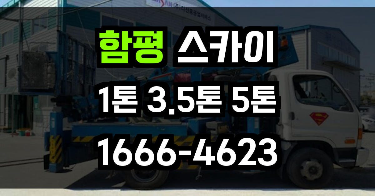 함평 스카이차