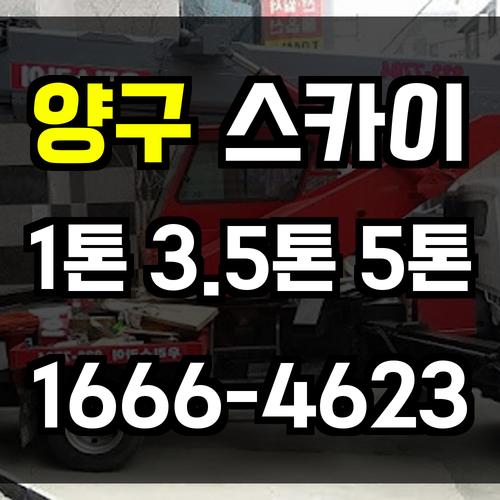 양구 스카이차