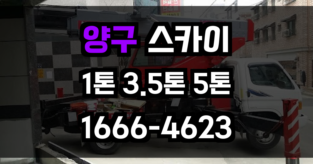 양구 스카이차