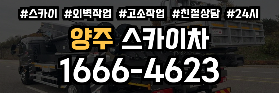 양주 스카이차