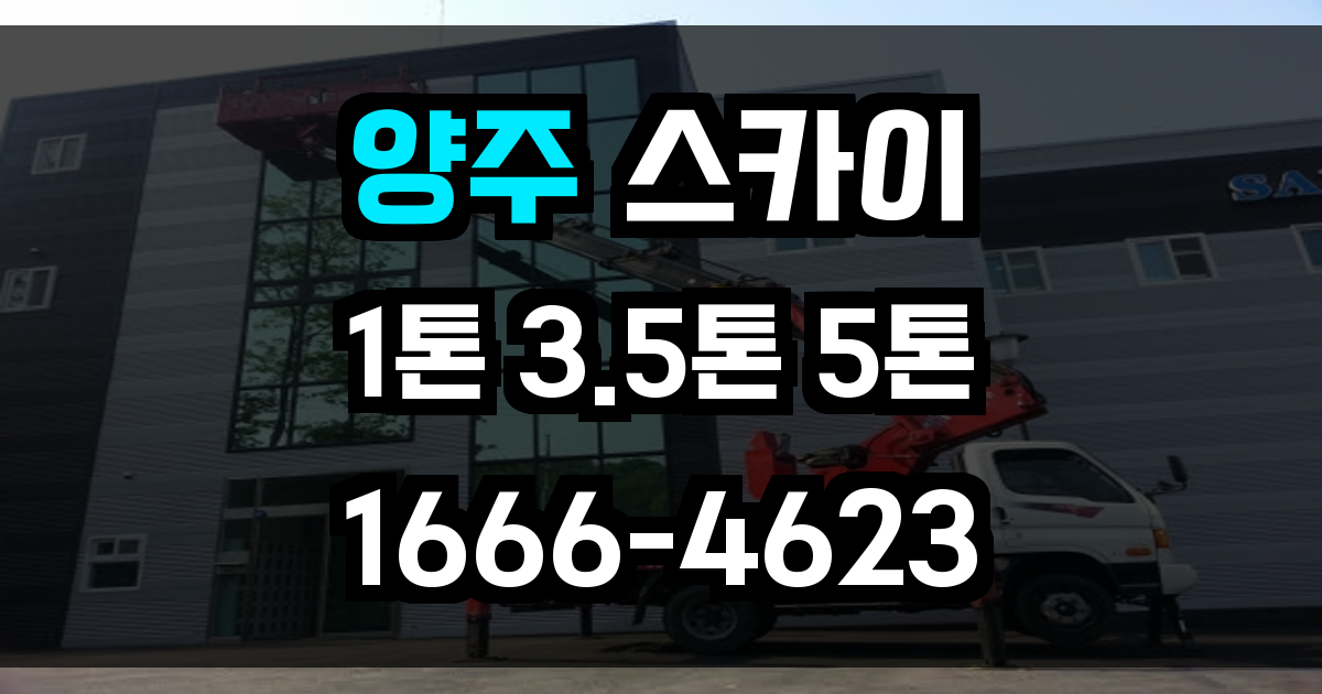 양주 스카이차