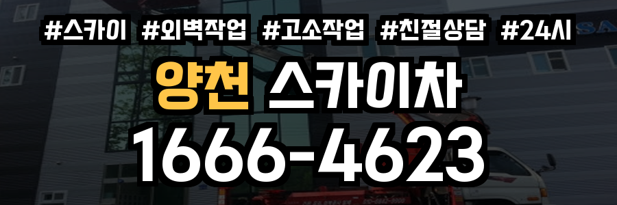 양천 스카이차