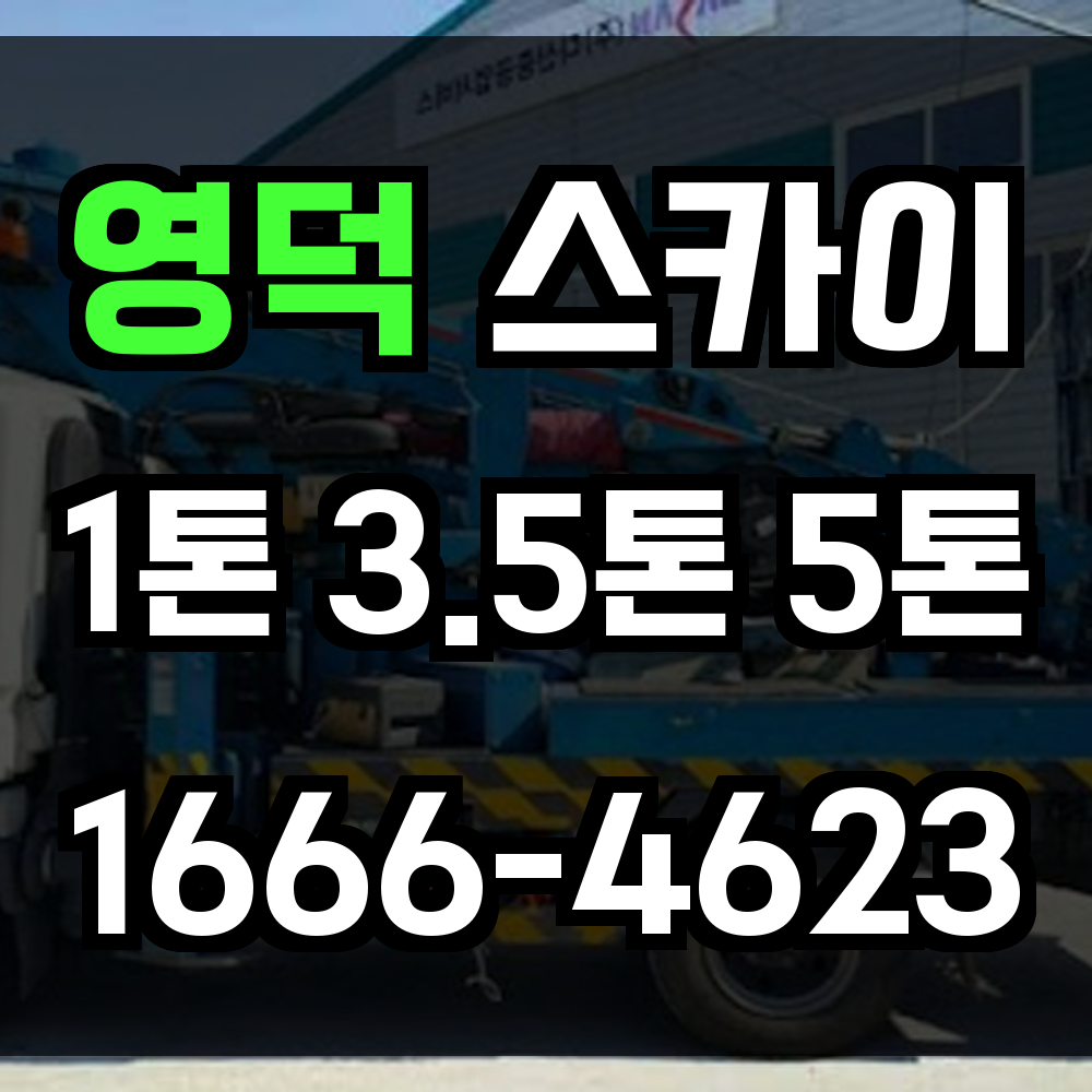 영덕 스카이차