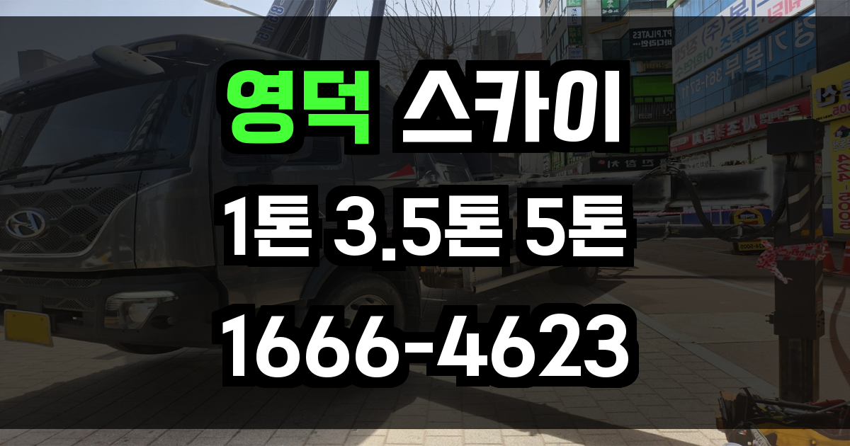 영덕 스카이차