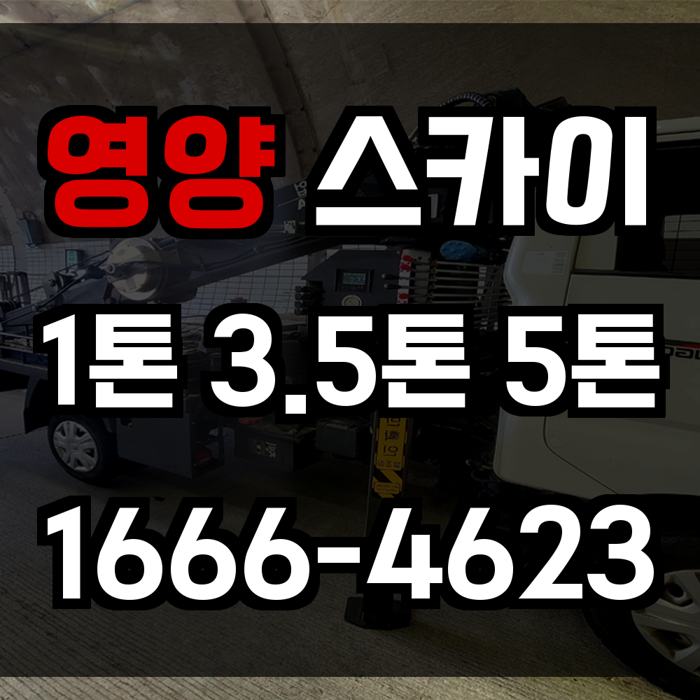 영양 스카이차