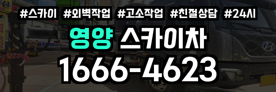 영양 스카이차