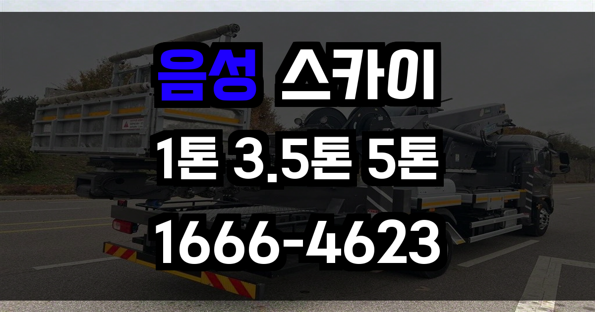 음성 스카이차