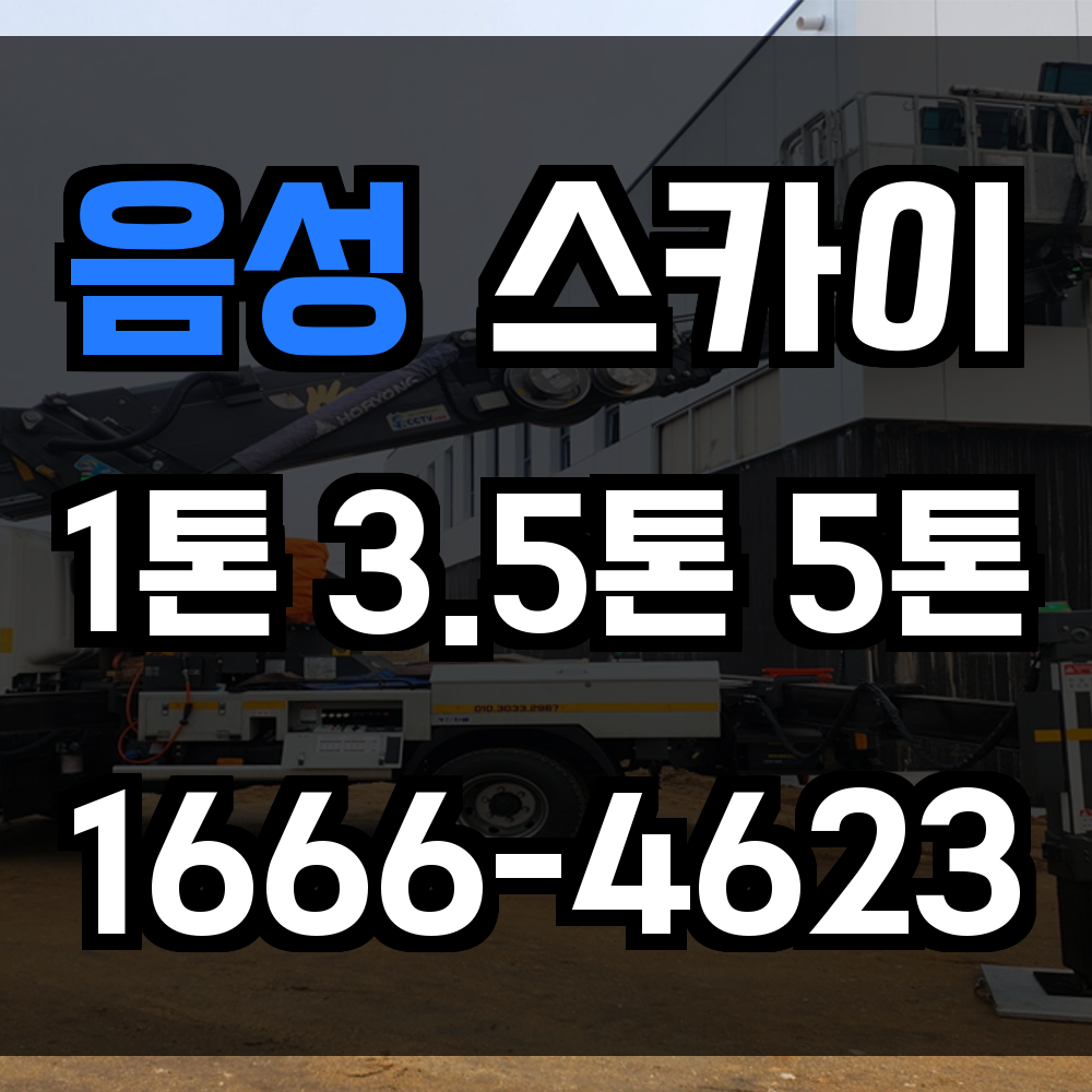 음성 스카이차