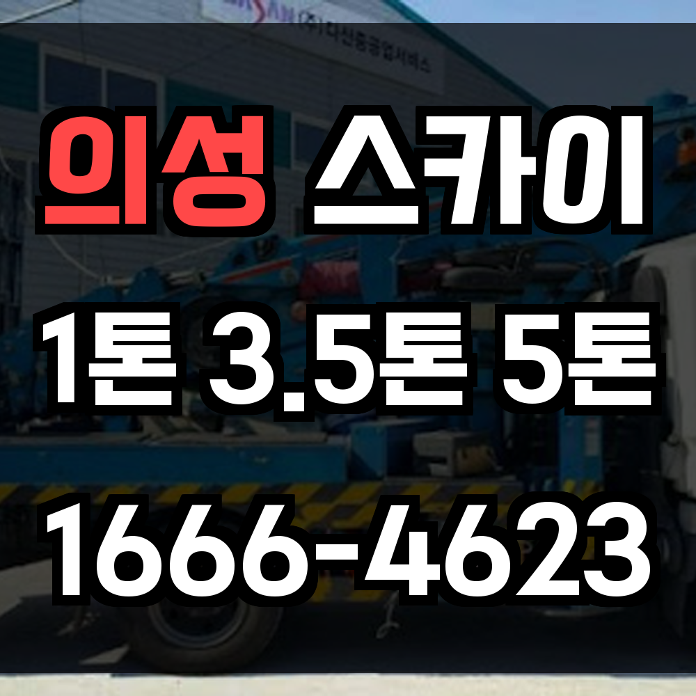 의성 스카이차