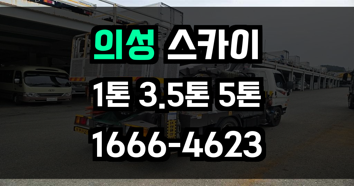 의성 스카이차