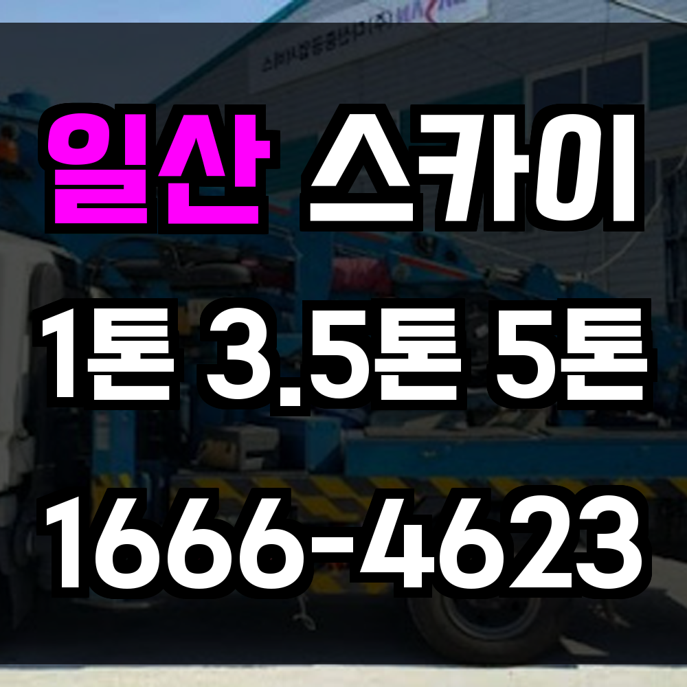 일산 스카이차