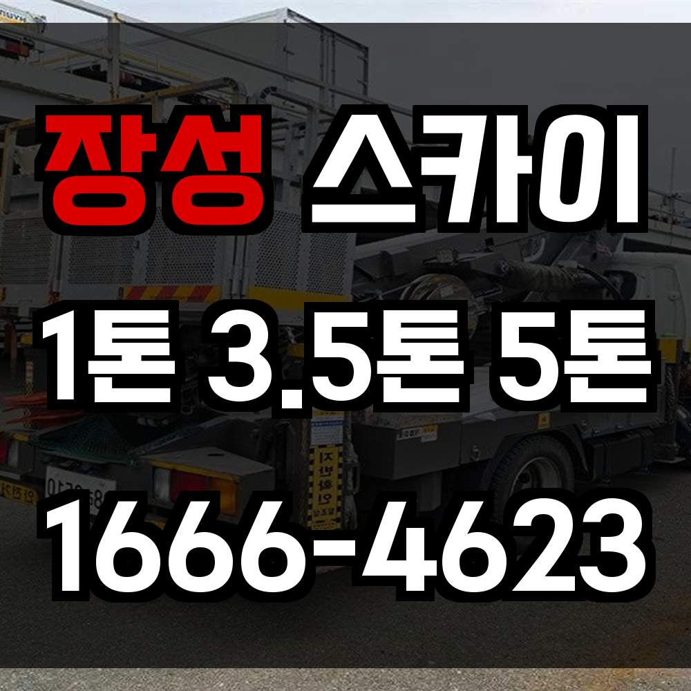 장성 스카이차
