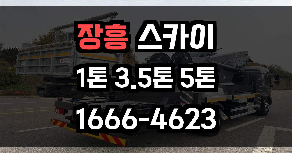 장흥 스카이차