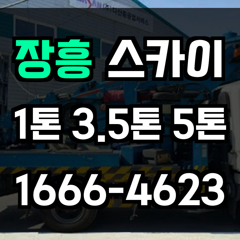 장흥 스카이차
