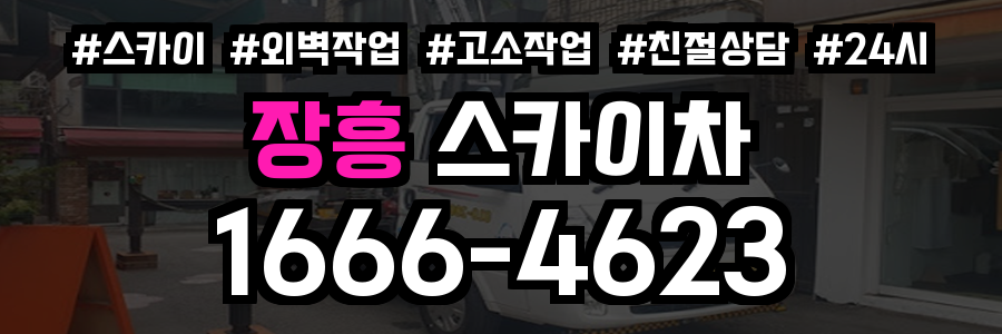 장흥 스카이차