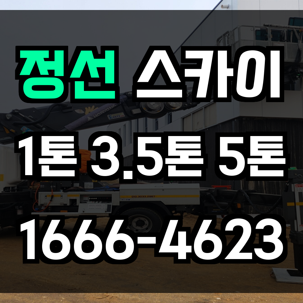 정선 스카이차
