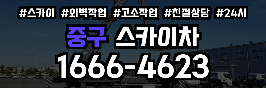 중구 스카이차