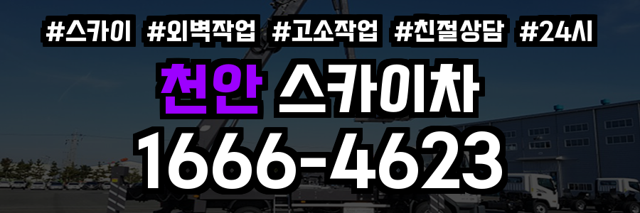 천안 스카이차