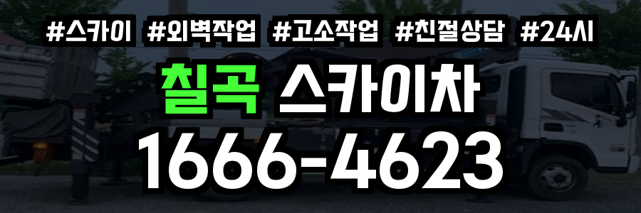 칠곡 스카이차