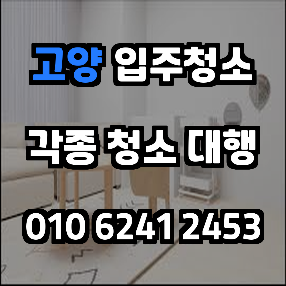 고양입주청소