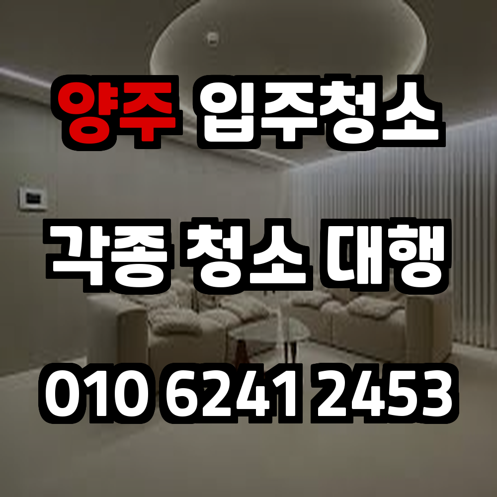 양주 입주청소 꼼꼼한 정리로 새집 준비 끝내는 청결 전문 서비스