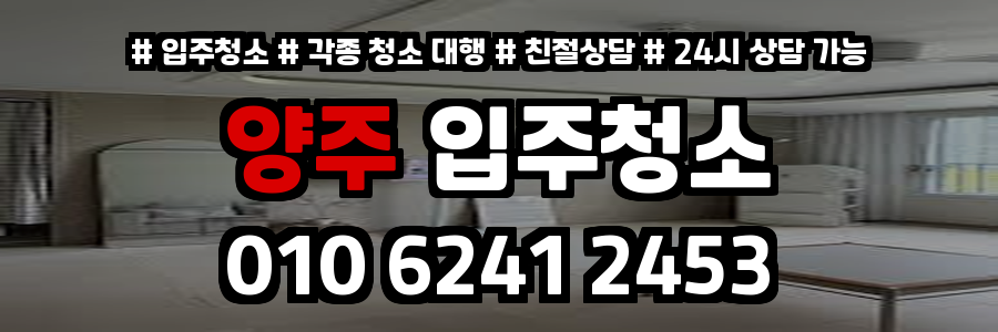 양주입주청소