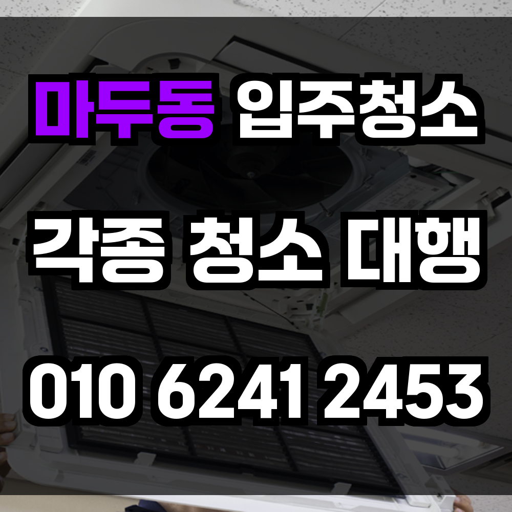 마두동 입주청소
