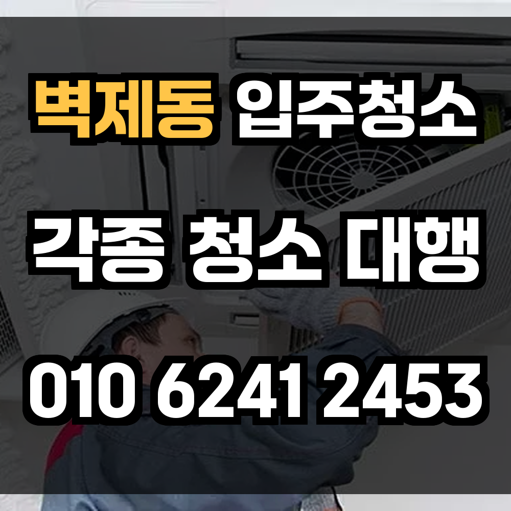 벽제동 입주청소