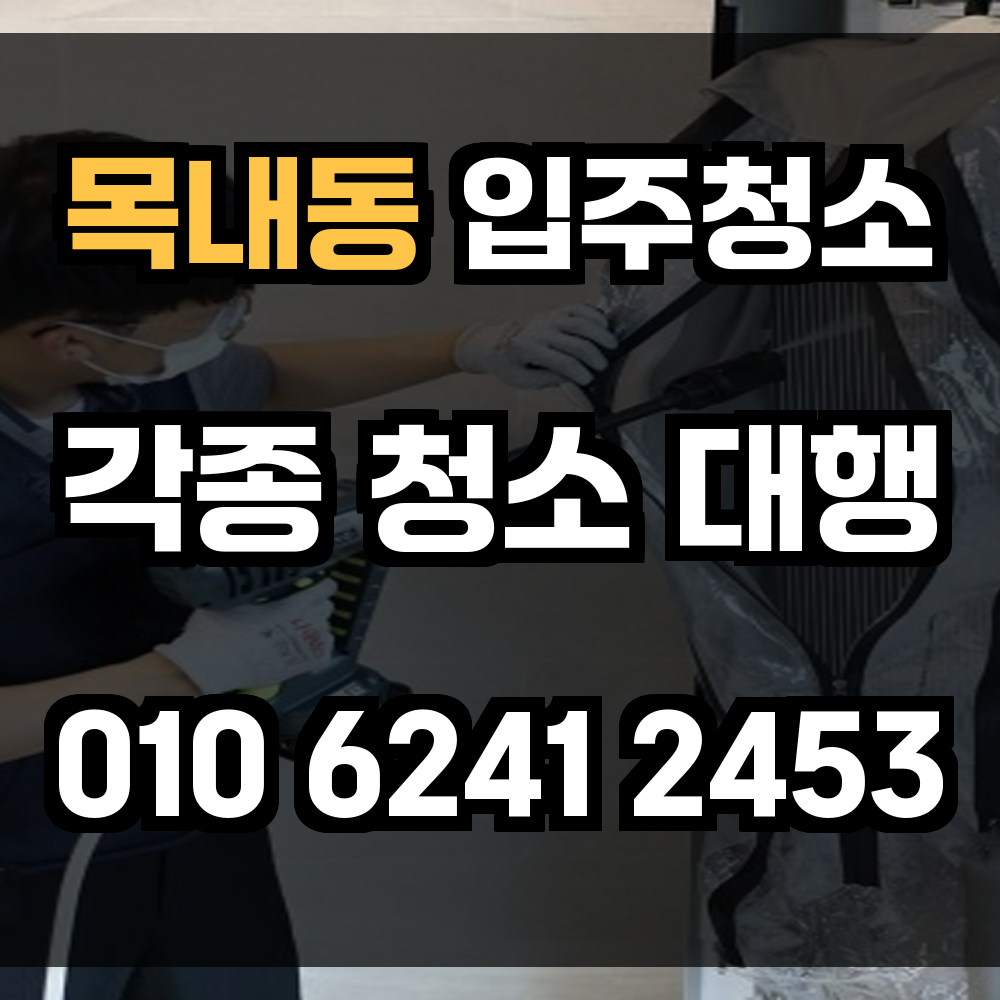 목내동 입주청소