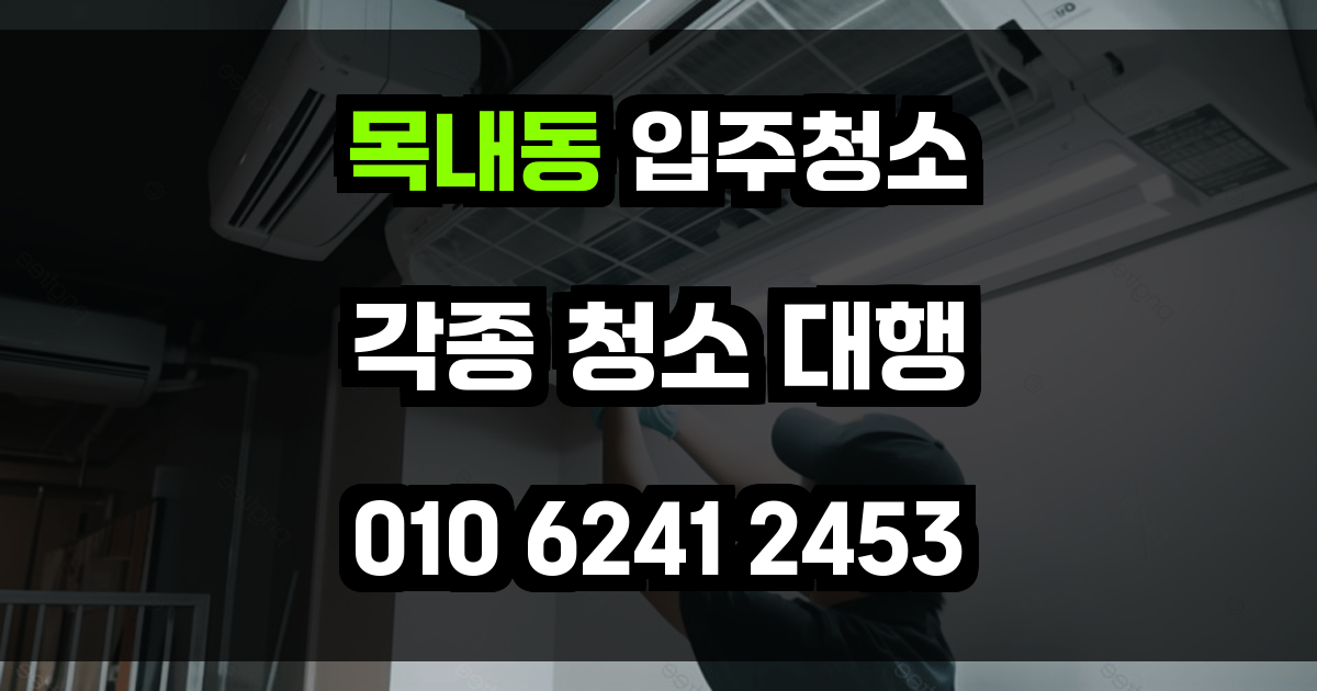 목내동 입주청소