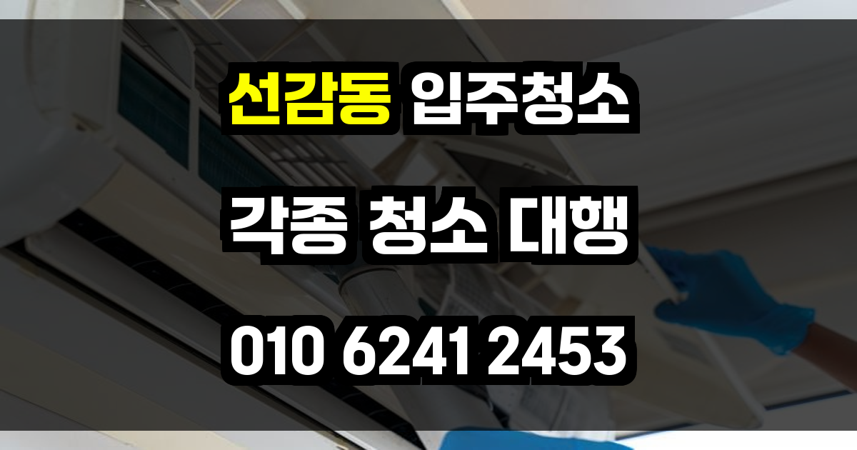 선감동 입주청소