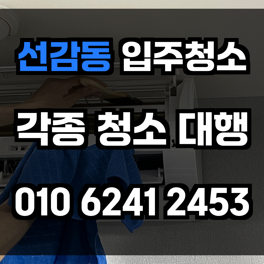 선감동 입주청소