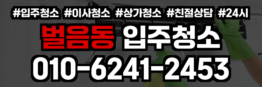벌음동 입주청소