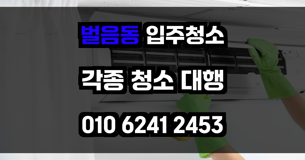 벌음동 입주청소
