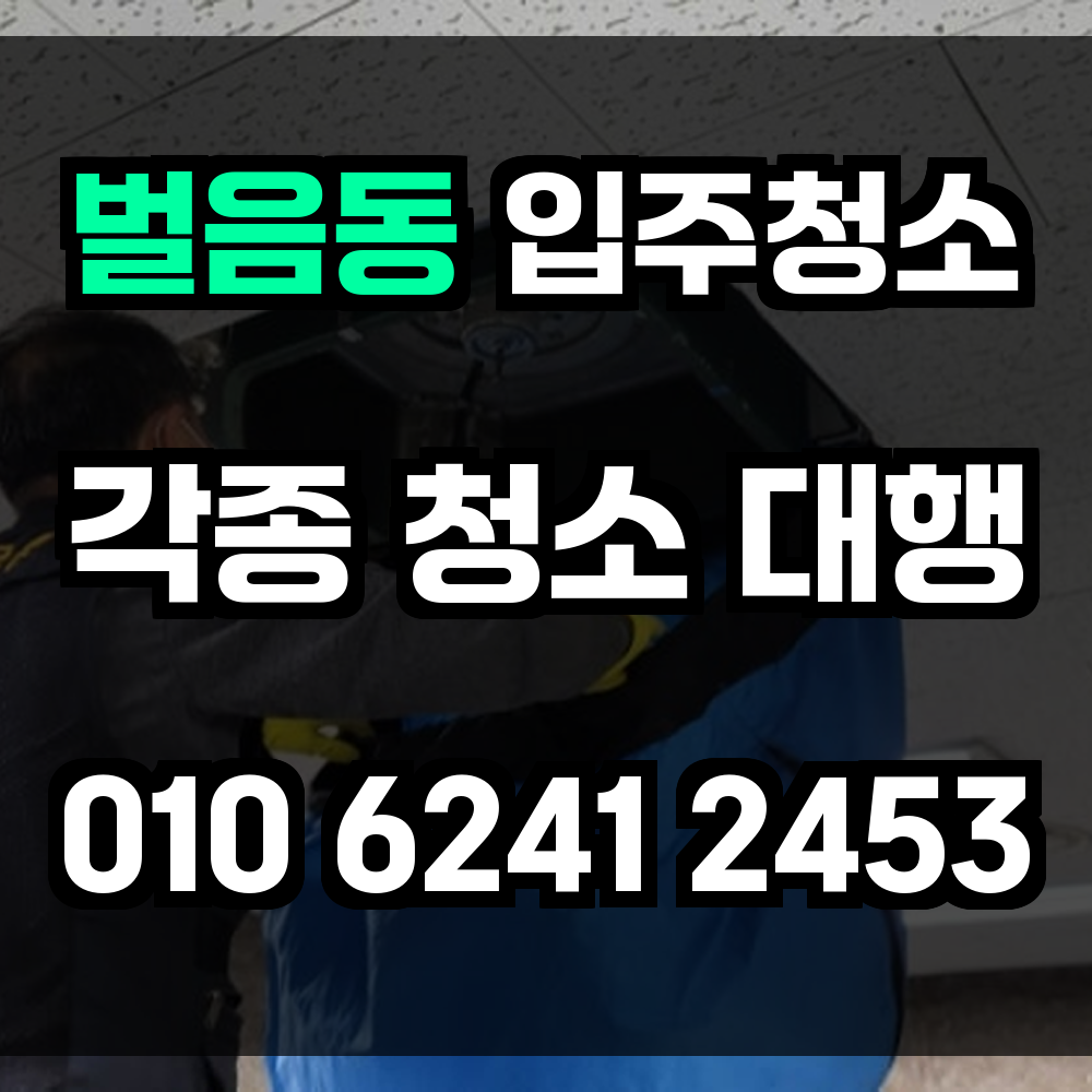 벌음동 입주청소