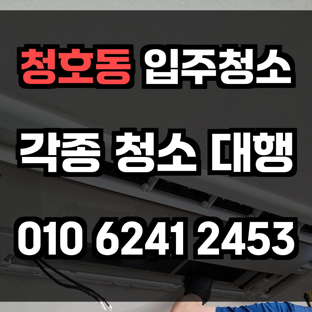 청호동 입주청소